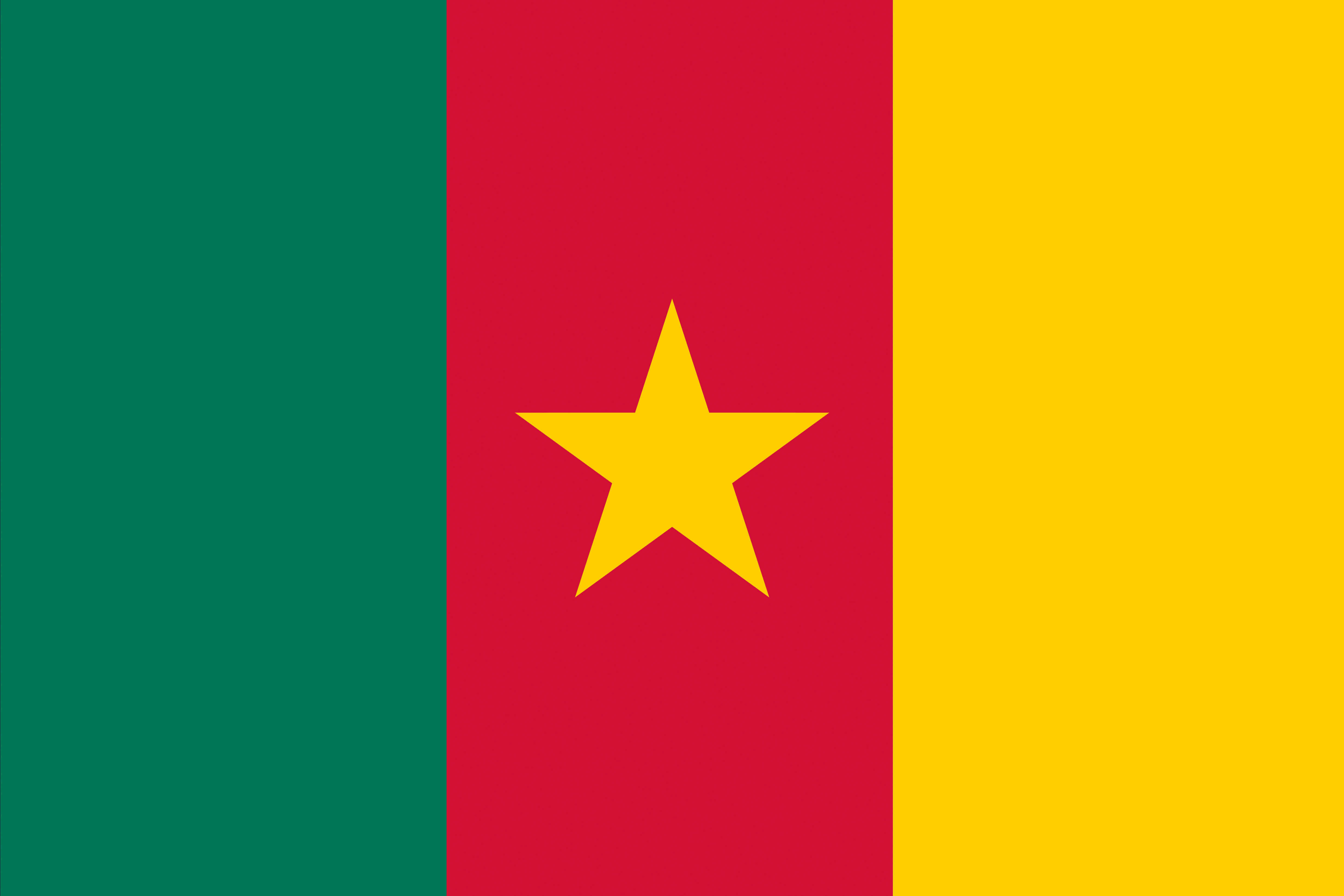 Partenaire Cameroun