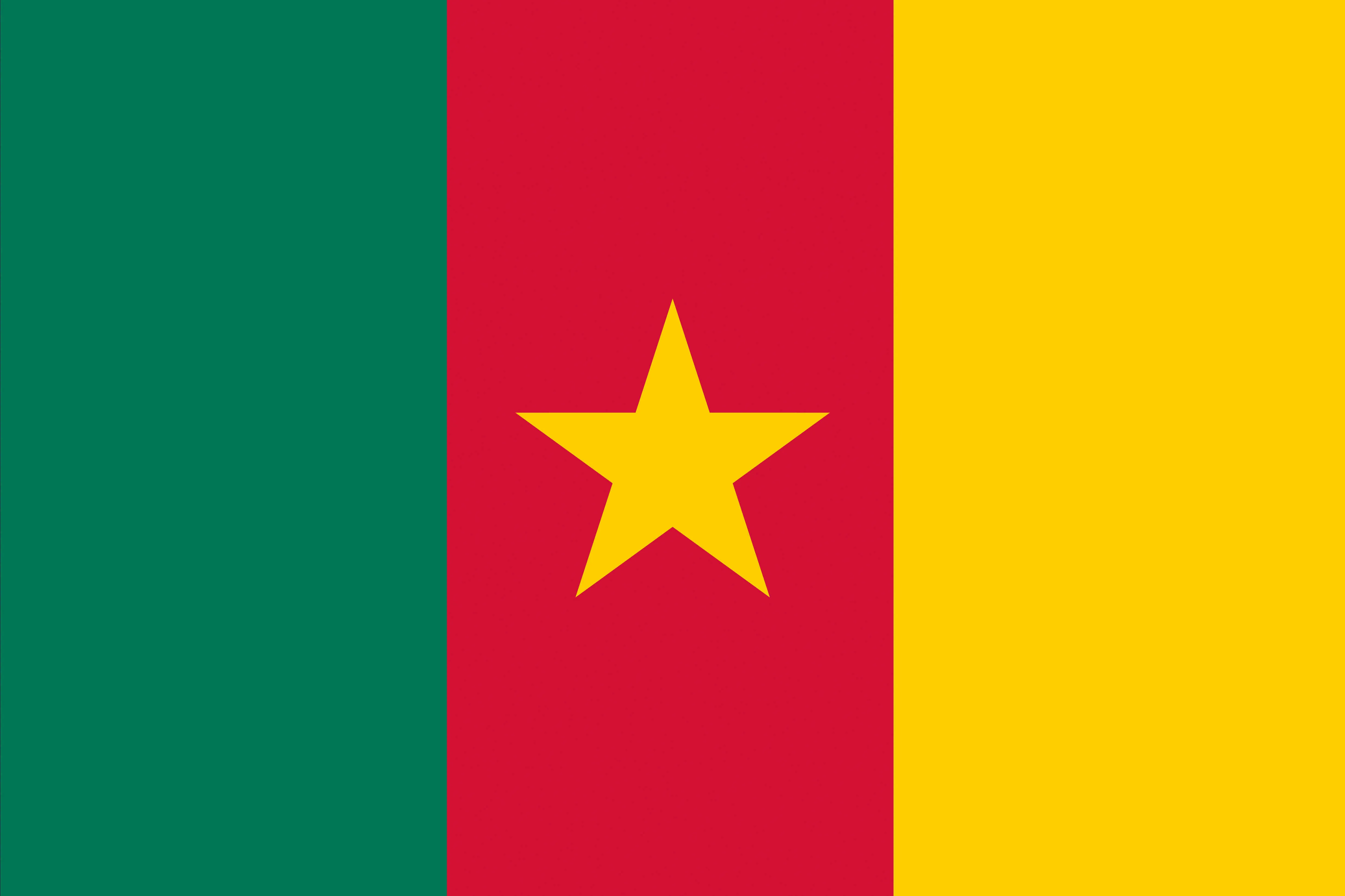 Partenaire Cameroun